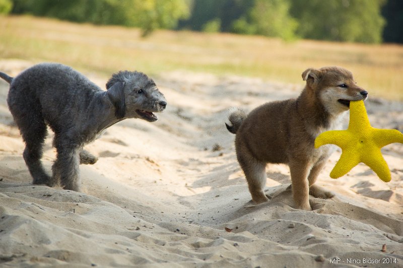 2014-07-17 Cherry & Friends-8269.jpg